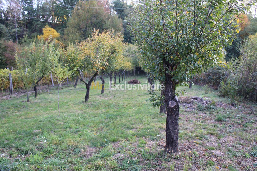 Casă cu priveliște de poveste – Crasna, Gorj - 33