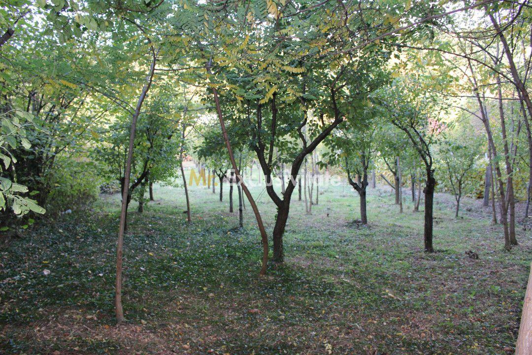 Casă cu priveliște de poveste – Crasna, Gorj - 32