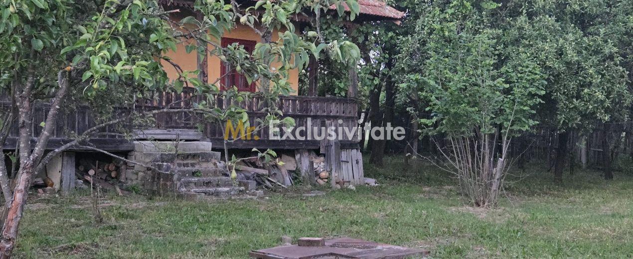 Casă cu 7.769 mp teren și pădure | Budieni | 53.000€ - 6