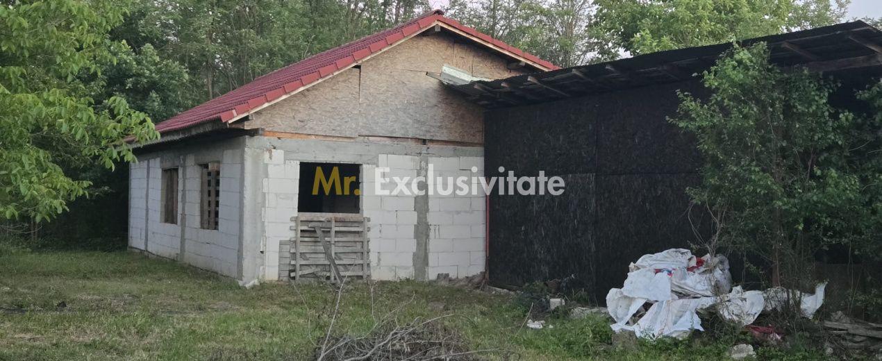 Casă cu 7.769 mp teren și pădure | Budieni | 53.000€ - 10