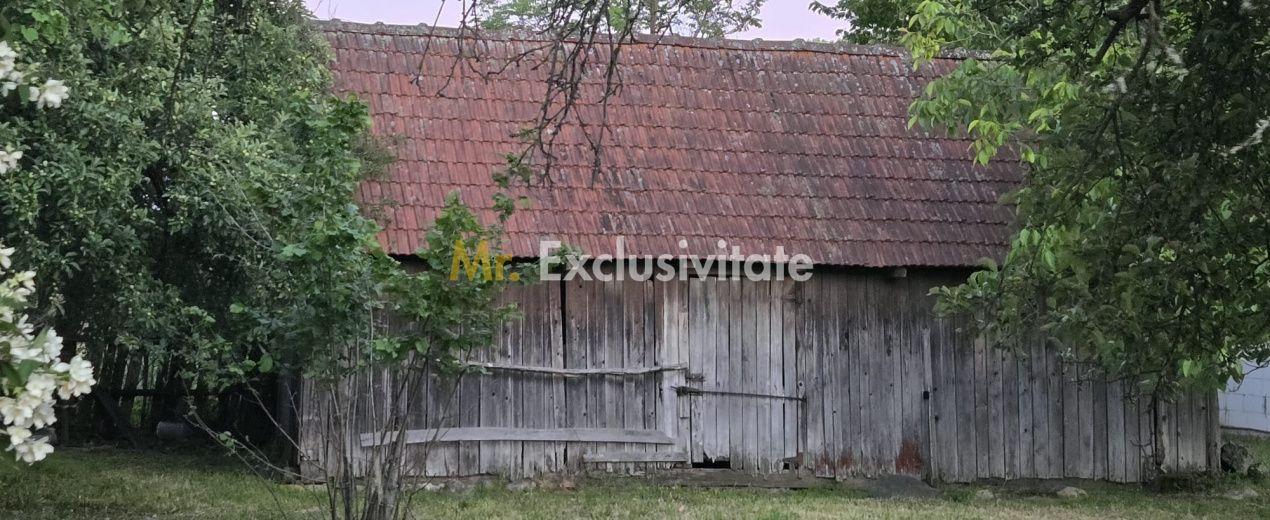 Casă cu 7.769 mp teren și pădure | Budieni | 53.000€ - 11