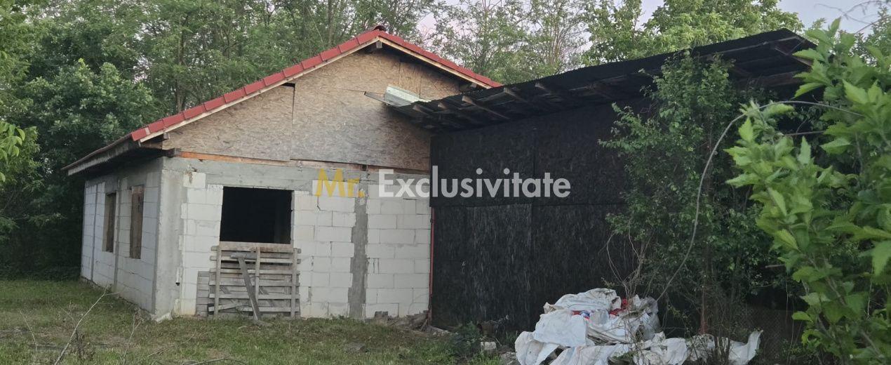 Casă cu 7.769 mp teren și pădure | Budieni | 53.000€ - 9