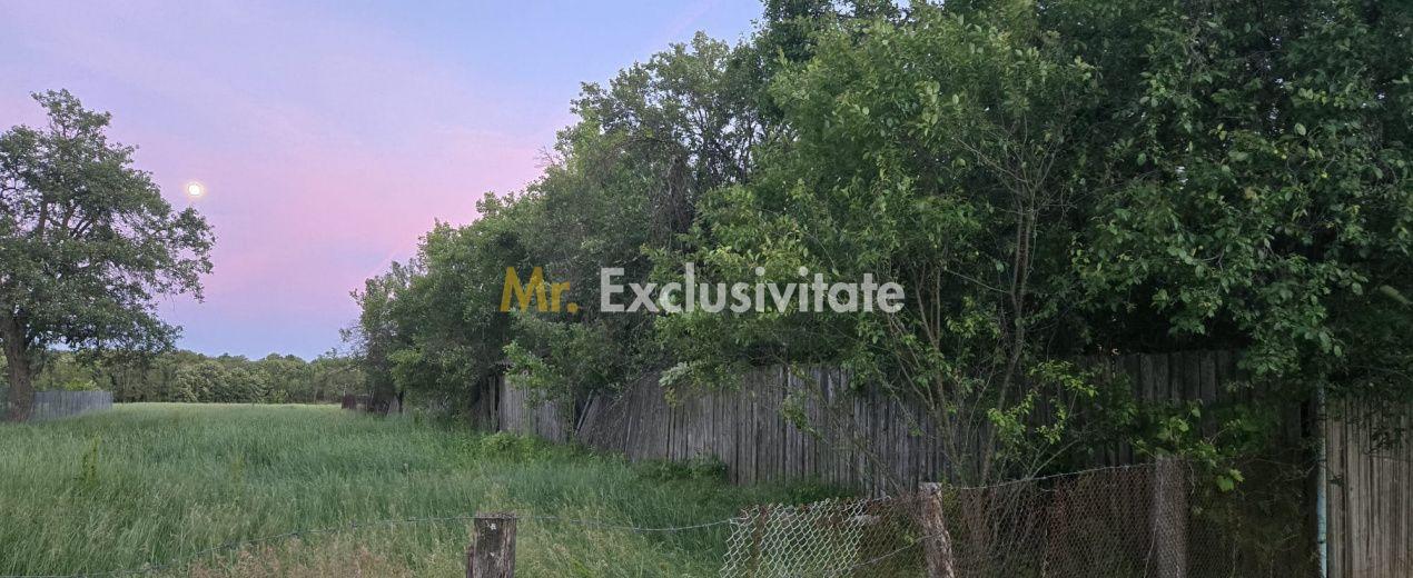 Casă cu 7.769 mp teren și pădure | Budieni | 53.000€ - 4