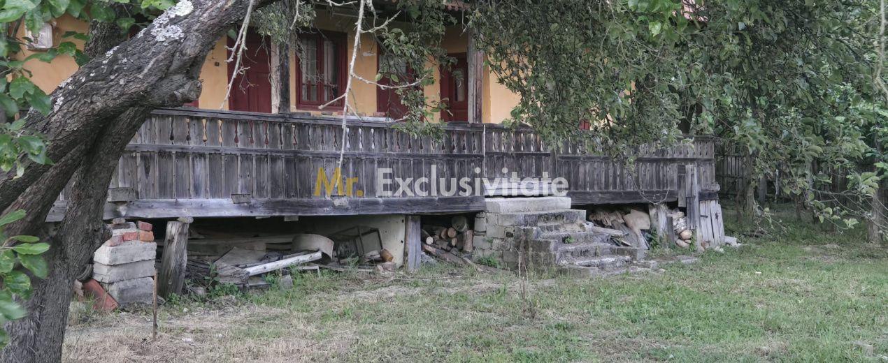 Casă cu 7.769 mp teren și pădure | Budieni | 53.000€ - 5