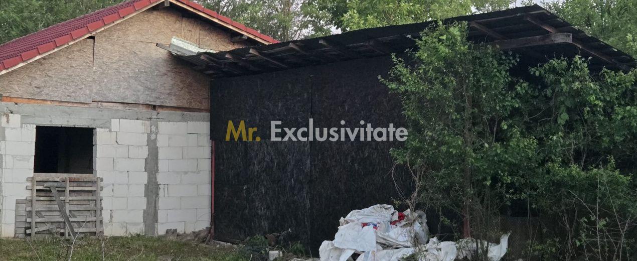 Casă cu 7.769 mp teren și pădure | Budieni | 53.000€ - 7