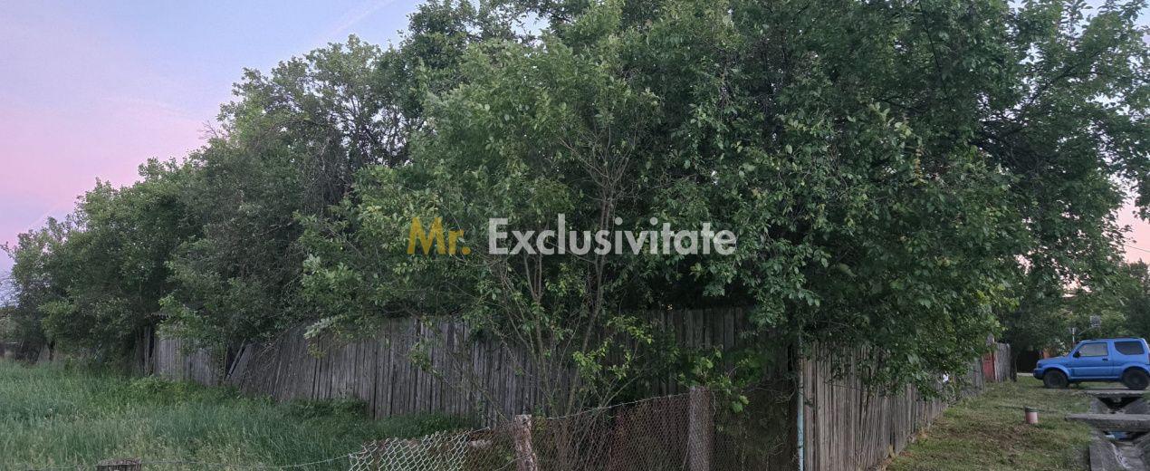 Casă cu 7.769 mp teren și pădure | Budieni | 53.000€ - 2