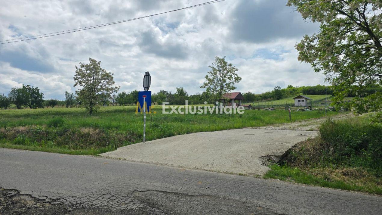 Teren intravilan Ardud Vii Satu Mare - 2