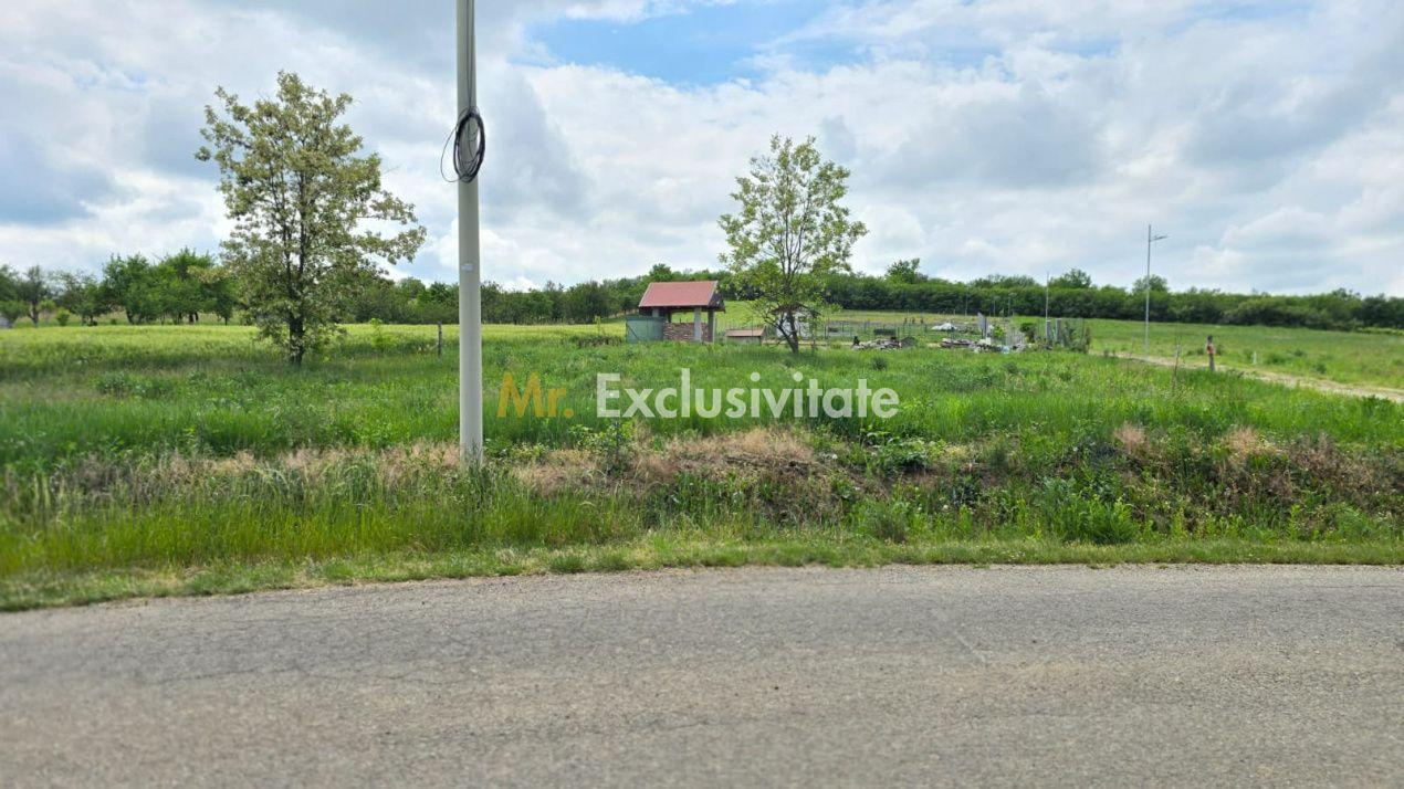 Teren intravilan Ardud Vii Satu Mare - 1