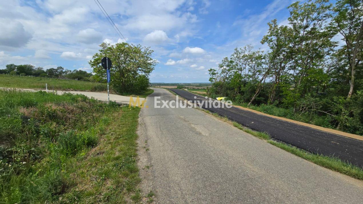 Teren intravilan Ardud Vii Satu Mare - 3