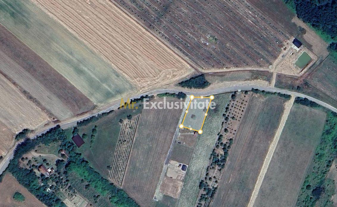 Teren intravilan Ardud Vii Satu Mare - 6