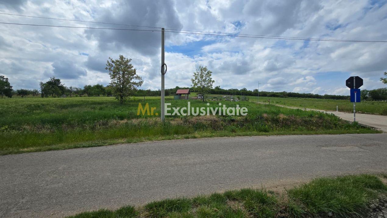 Teren intravilan Ardud Vii Satu Mare - 4