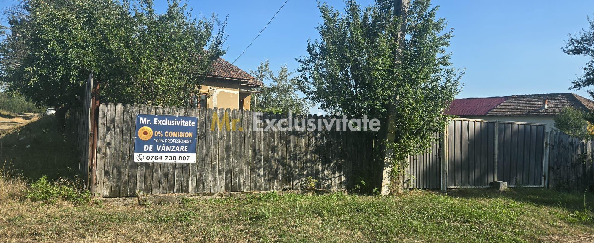 Casa de vanzare - 17