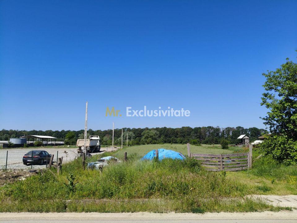 Teren 10.294 mp de vânzare Târgu Jiu | Intravilan + Extravilan | Utilități - 9