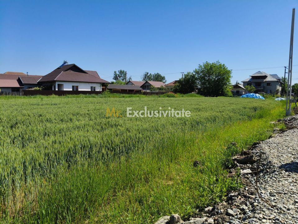 Teren 10.294 mp de vânzare Târgu Jiu | Intravilan + Extravilan | Utilități - 7