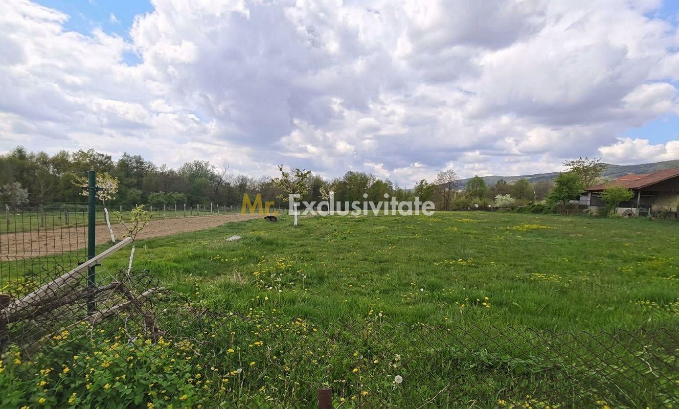 Teren mixt de vânzare Crasna Gorj, aproape de Rânca– 19.209 mp - 1