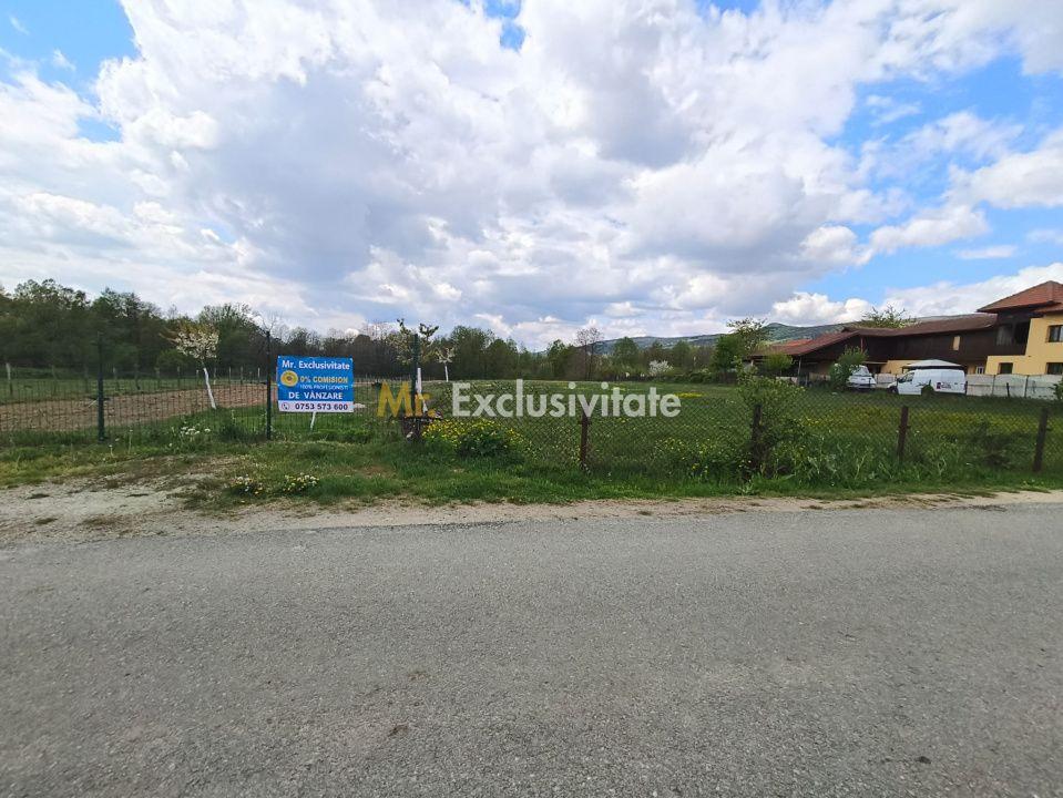Teren mixt de vânzare Crasna Gorj, aproape de Rânca– 19.209 mp - 6