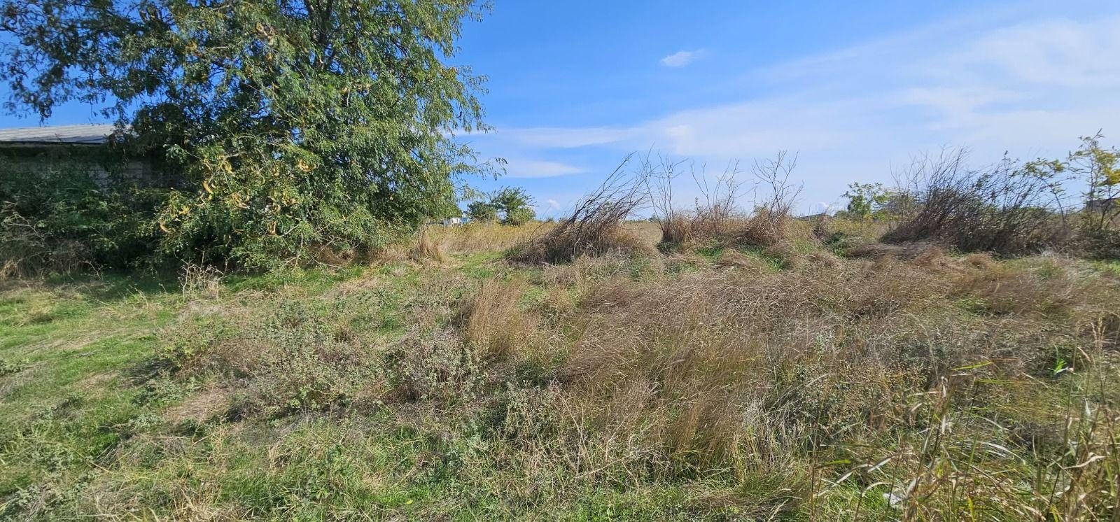 Teren intravilan 1.666 mp – Smârdan – Zonă în dezvoltare, 20 euro/mp - 1