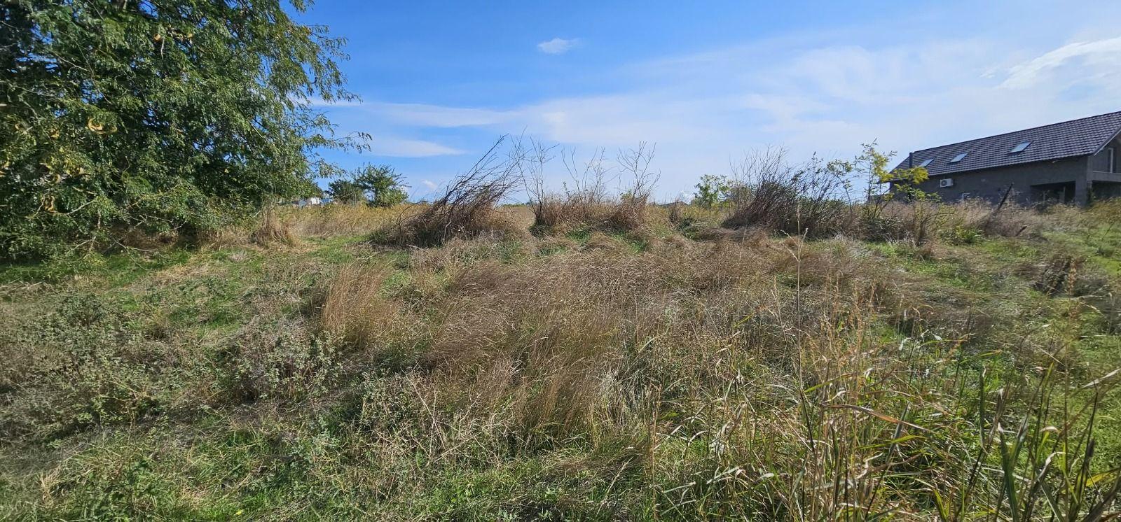 Teren intravilan 1.666 mp – Smârdan – Zonă în dezvoltare, 20 euro/mp - 4