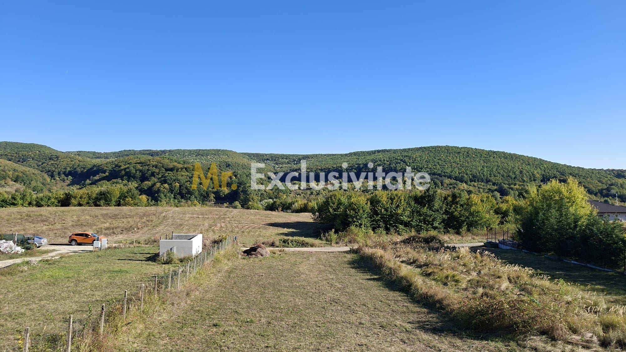 Teren 2090 mp Stefanesti-Rebreanu zona superba - 2
