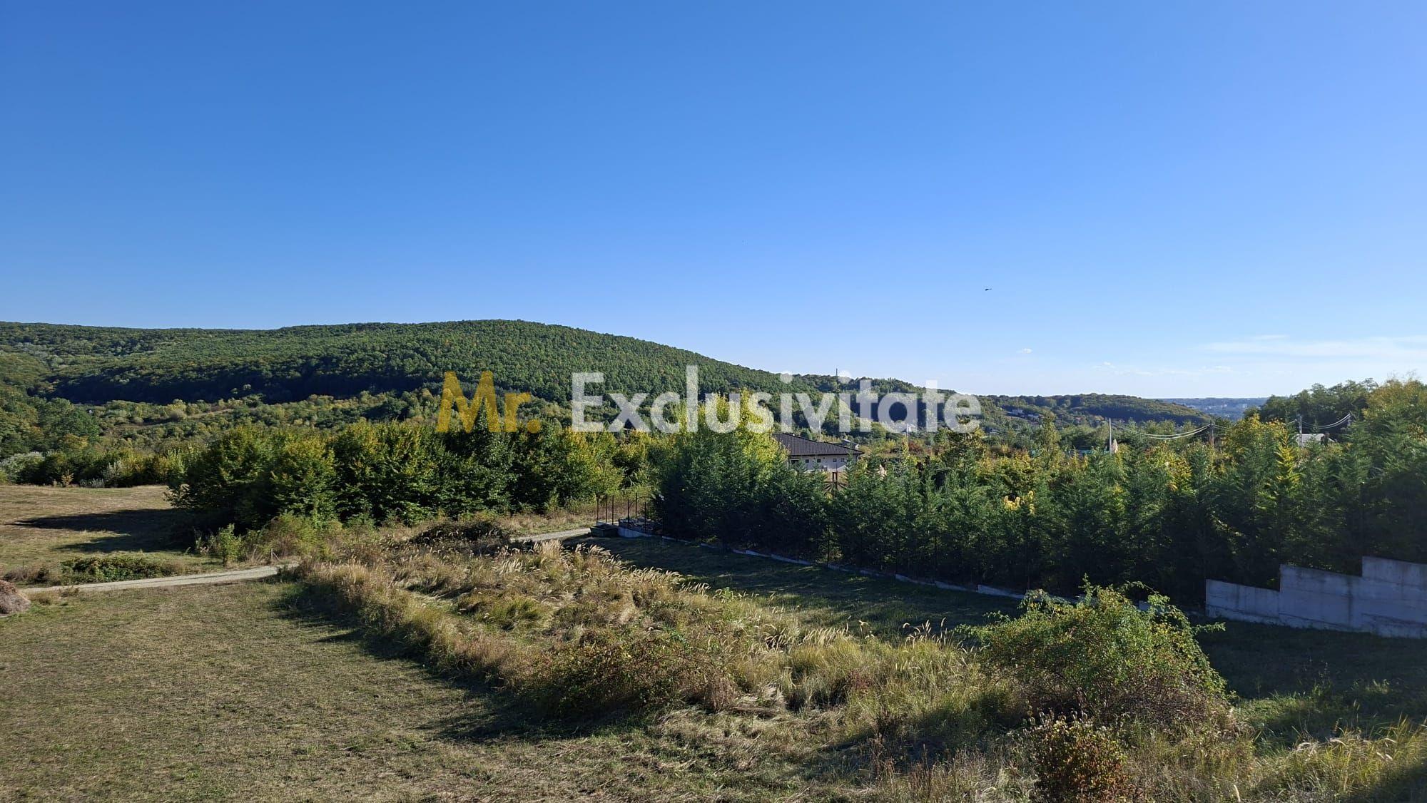 Teren 2090 mp Stefanesti-Rebreanu zona superba - 9