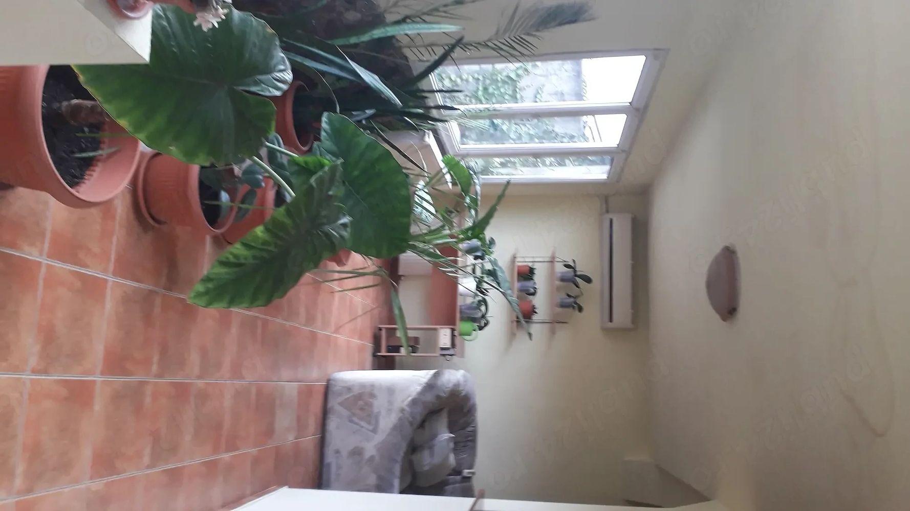Casă individala cu etaj, având 2 apartamente separate în Timișoara - 1