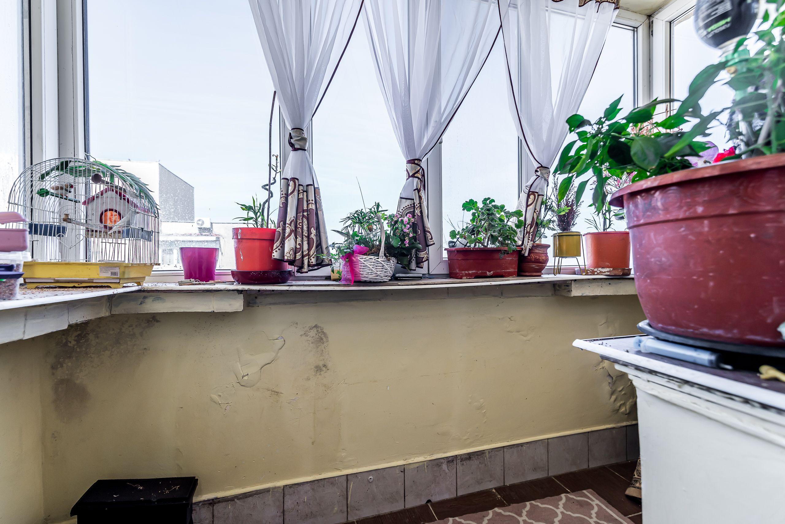Apartament cu 5 camere pe Splaiul General Gheorghe Magheru, Micălaca - 21