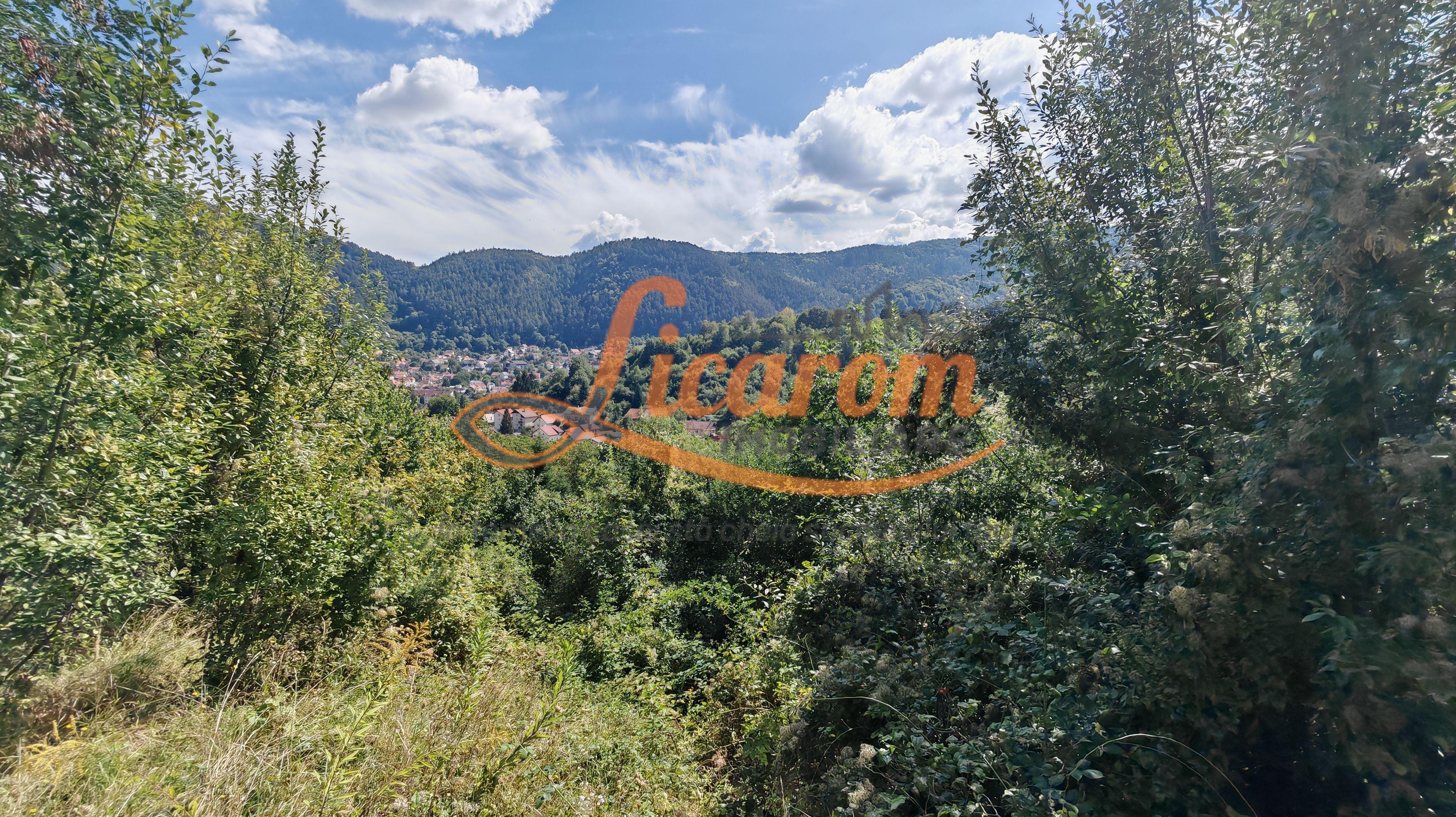 Teren Premium Drumul Poienii (Warthe)-5 Parcele de la 500 mp,270Eur/mp - 4