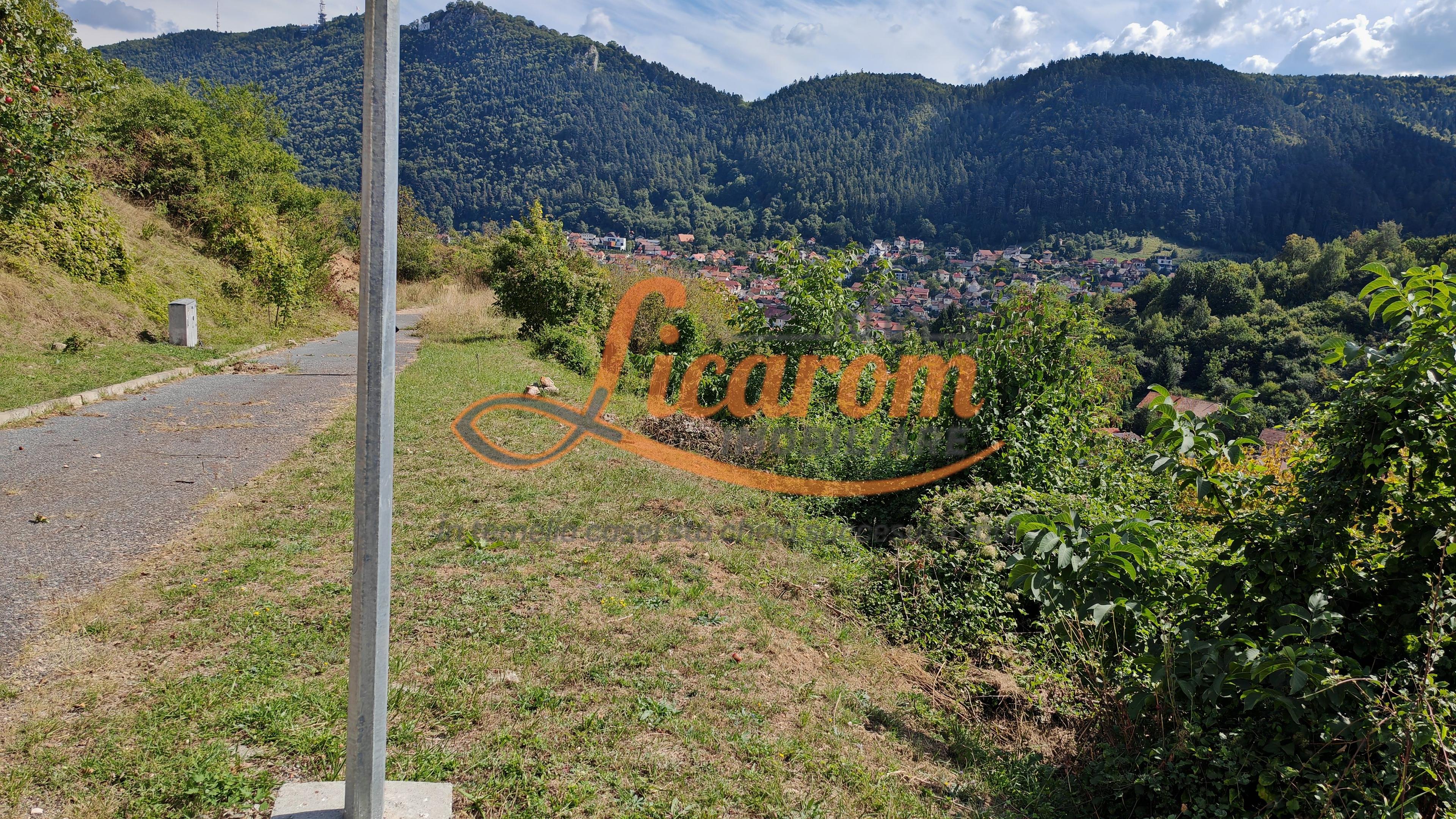 Teren Premium Drumul Poienii (Warthe)-5 Parcele de la 500 mp,270Eur/mp - 3