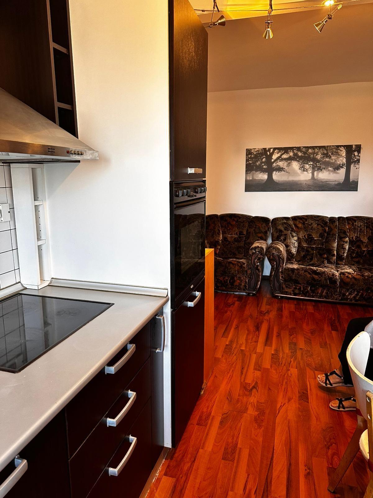 Apartament 2 camere de închiriat mobilat în Banu Manta – Titulescu, - 24