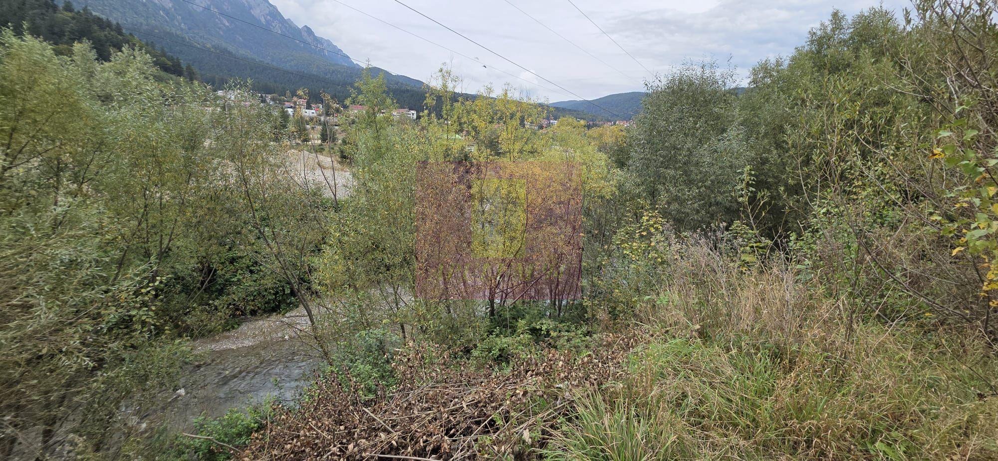 Cabana de vânzare în Bușteni – vedere spre Caraiman și 650 mp de teren - 19