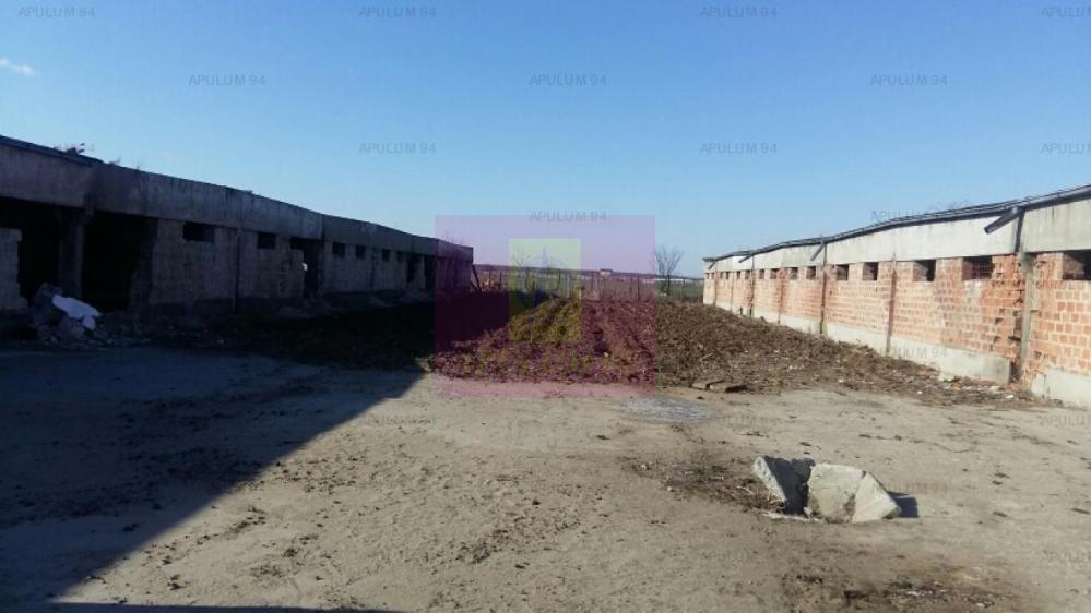 Teren Balotesti- Saftica- ideal pentru constructie locuinte. - 2