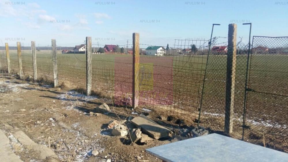 Teren Balotesti- Saftica- ideal pentru constructie locuinte. - 5