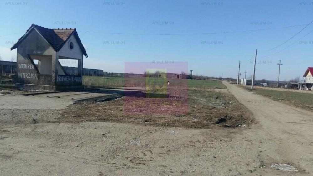 Teren Balotesti- Saftica- ideal pentru constructie locuinte. - 1