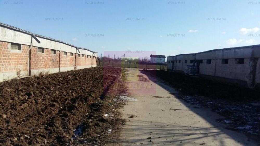 Teren Balotesti- Saftica- ideal pentru constructie locuinte. - 3