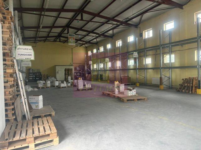 Hale industriale cu parcari multiple Bragadiru Sos Alexandriei stradal - 22