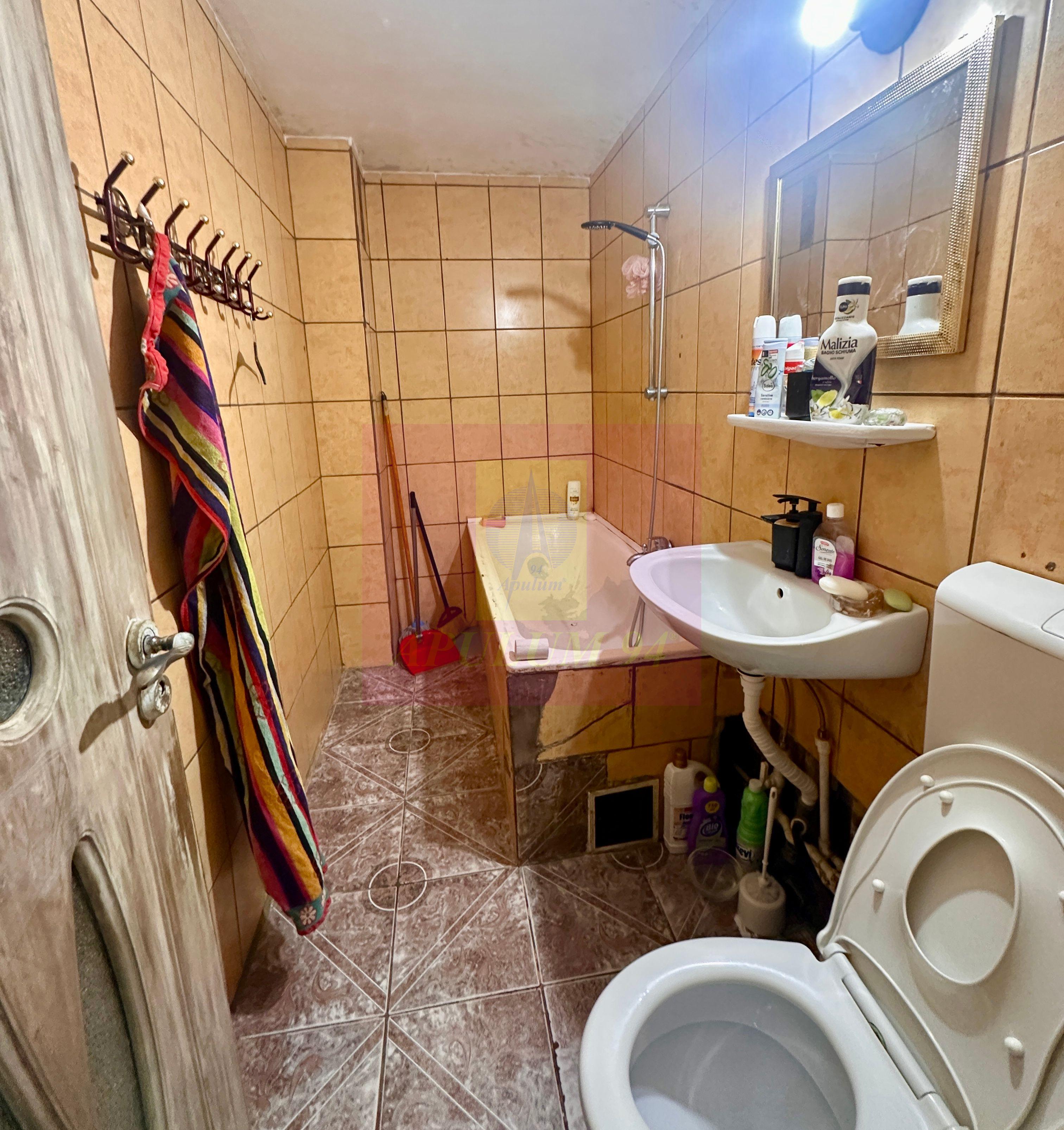 Apartament 2 camere Sebastian-Nedeleanu Ion - 10