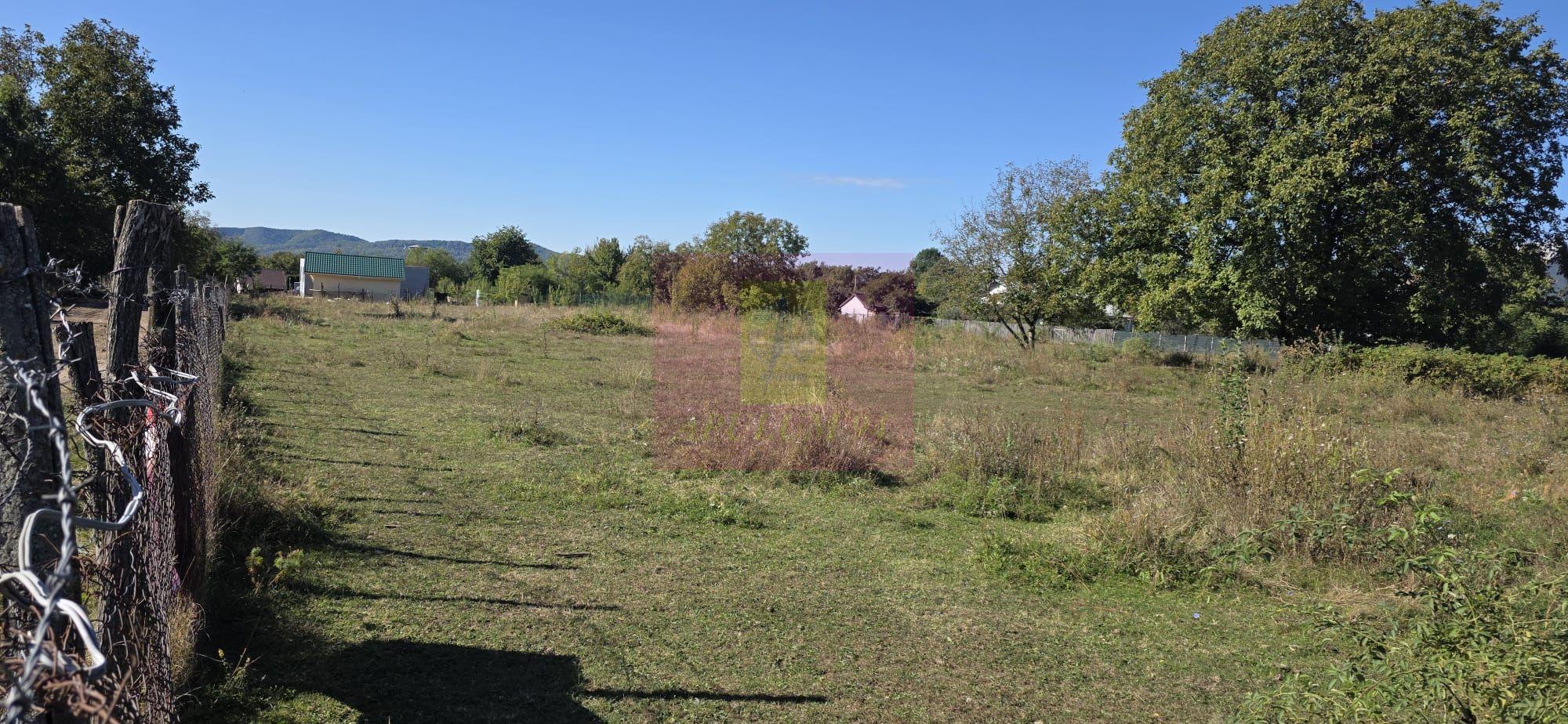 Teren intravilan 3.750 mp de vanzare in Campina - 4