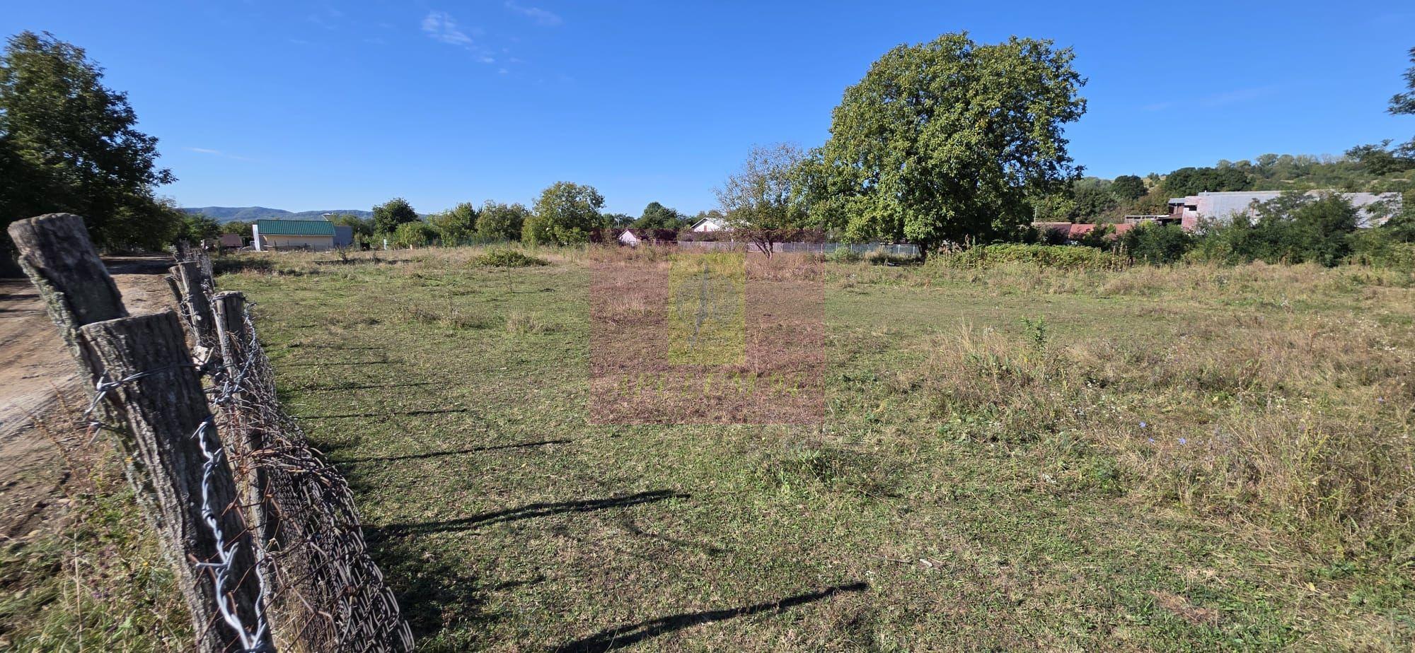 Teren intravilan 3.750 mp de vanzare in Campina - 2