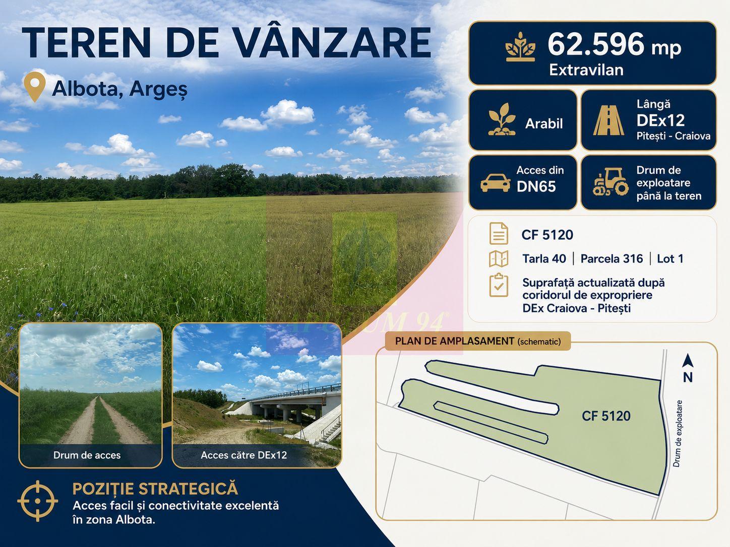 Teren 6,26 ha lângă DEx12 Pitești - 1