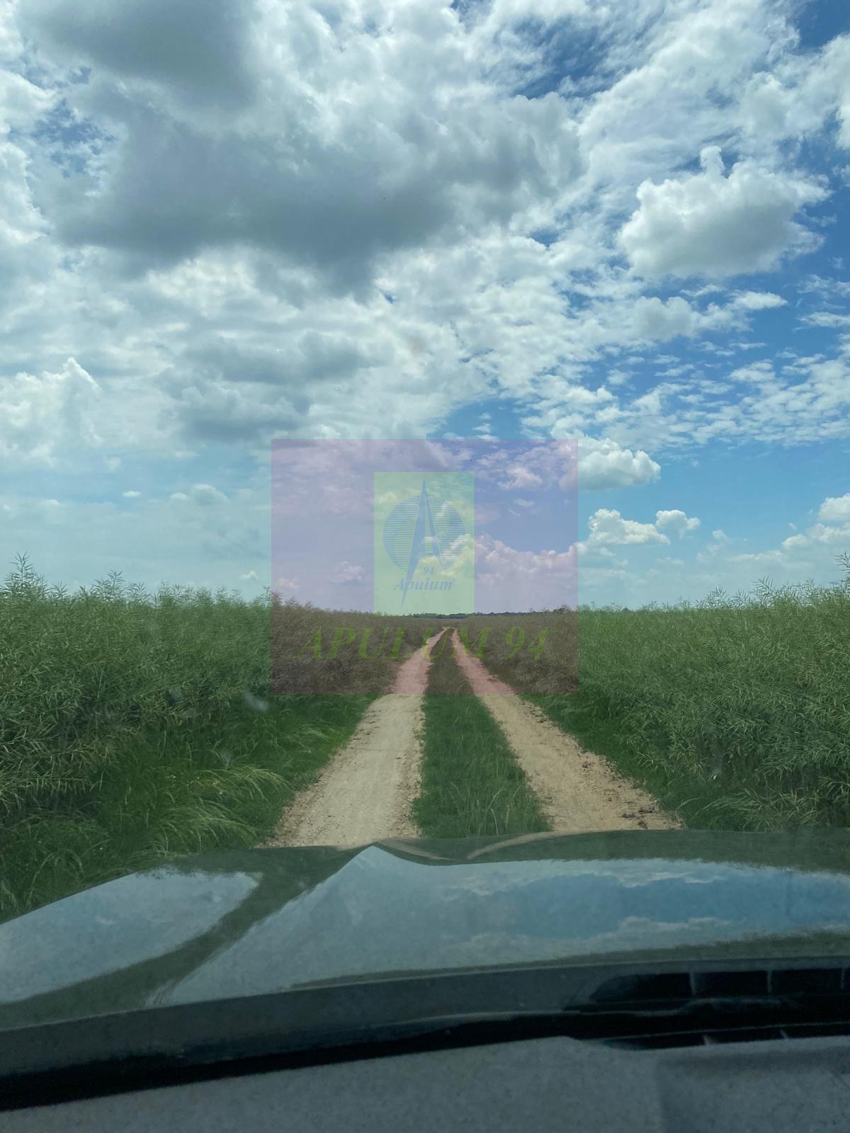 Teren 6,26 ha lângă DEx12 Pitești - 11