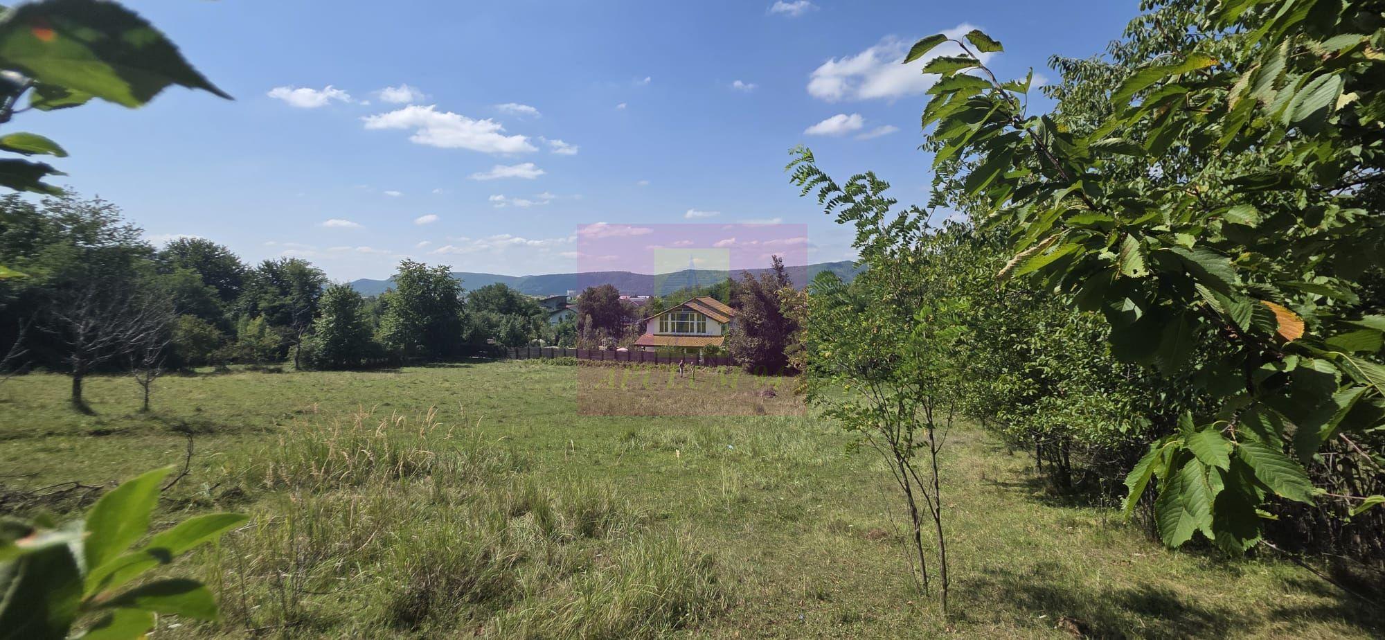 Teren intravilan de vanzare 2500 mp in Banesti - 5