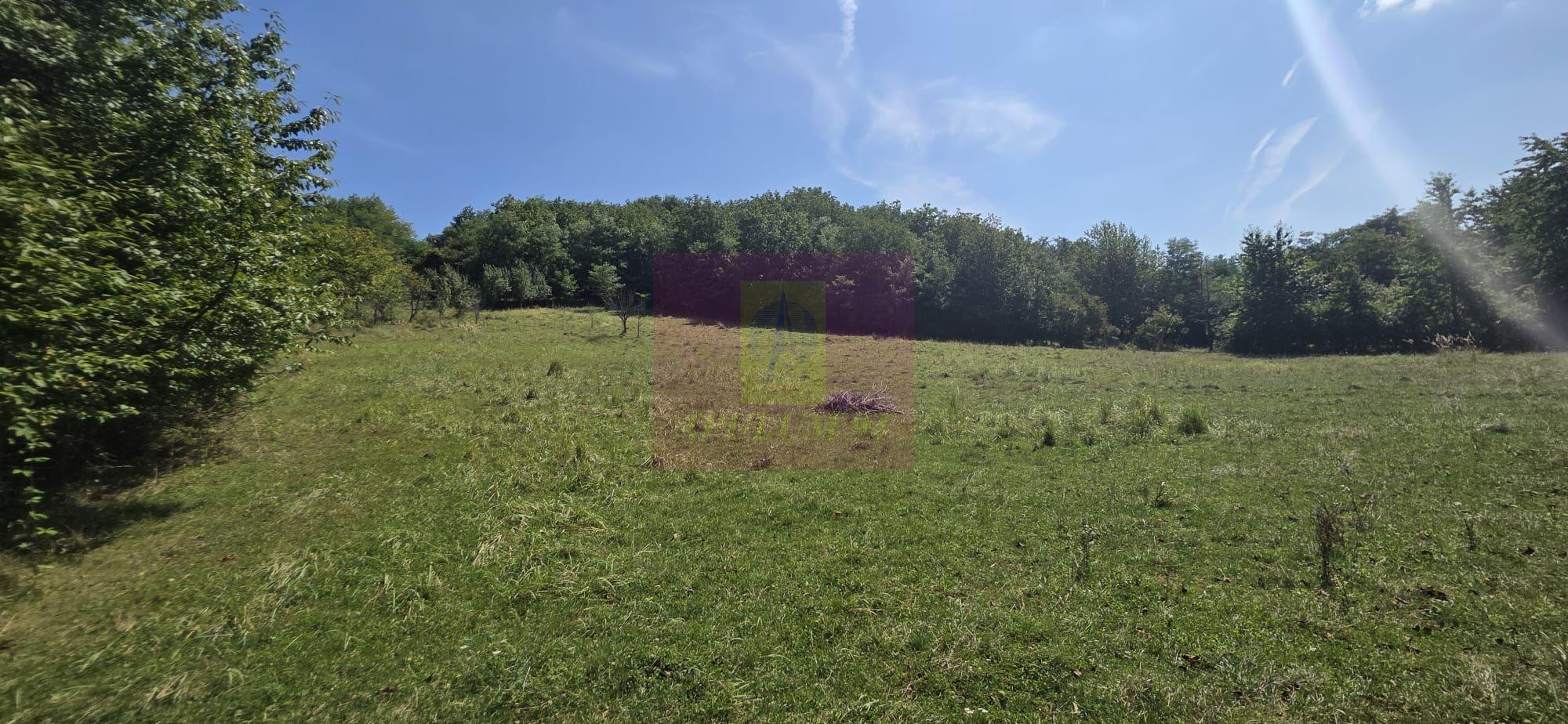 Teren intravilan de vanzare 2500 mp in Banesti - 1