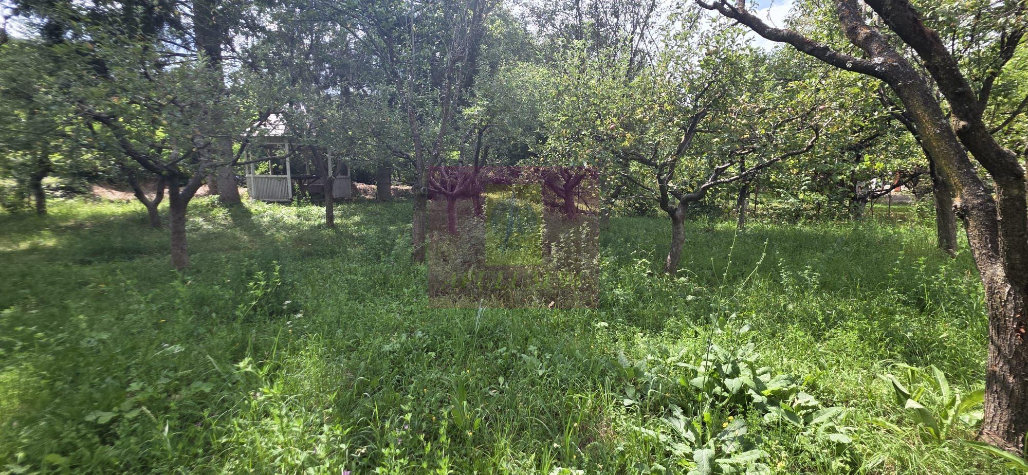 Vila cu livada de vanzare in Breaza - 2