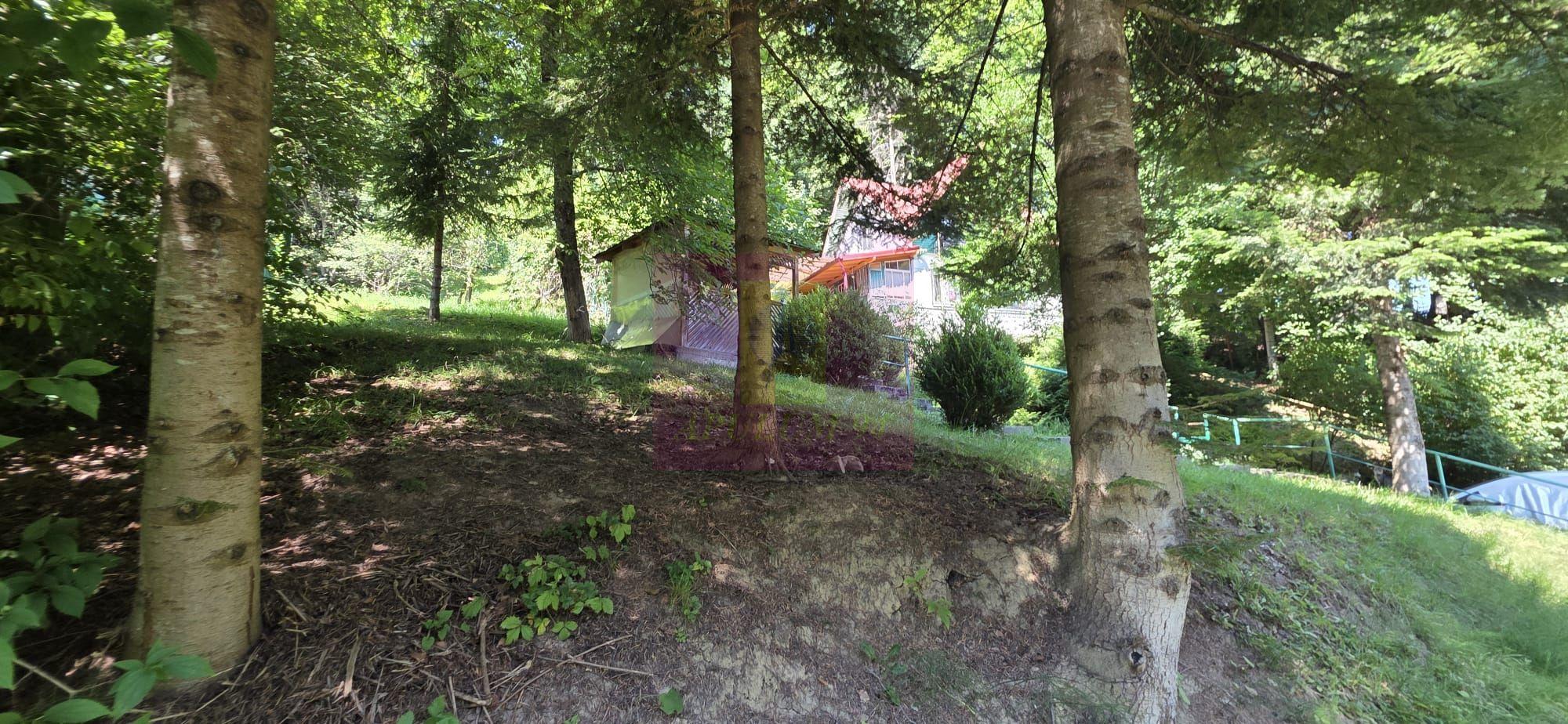 Teren intravilan 979 mp Sinaia, Furnica - 5