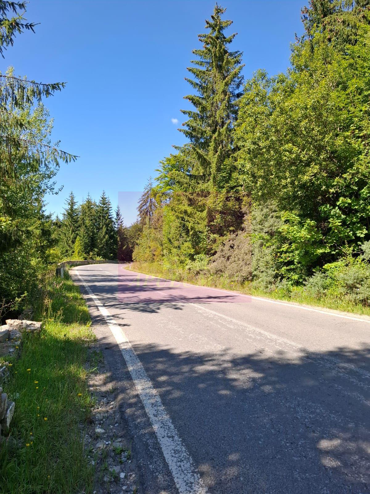 Teren de vânzare în zona Cota 1000 – Sinaia - 3
