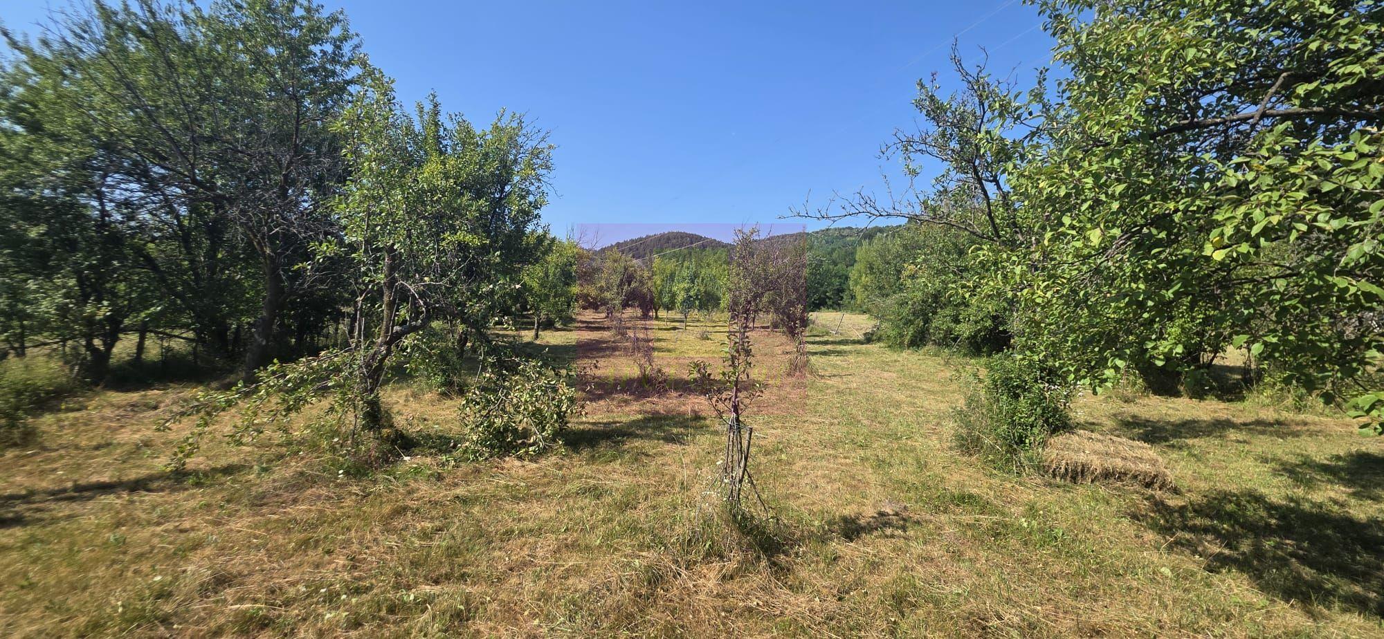 Teren intravilan de vanzare 3375 mp in Brebu - 1