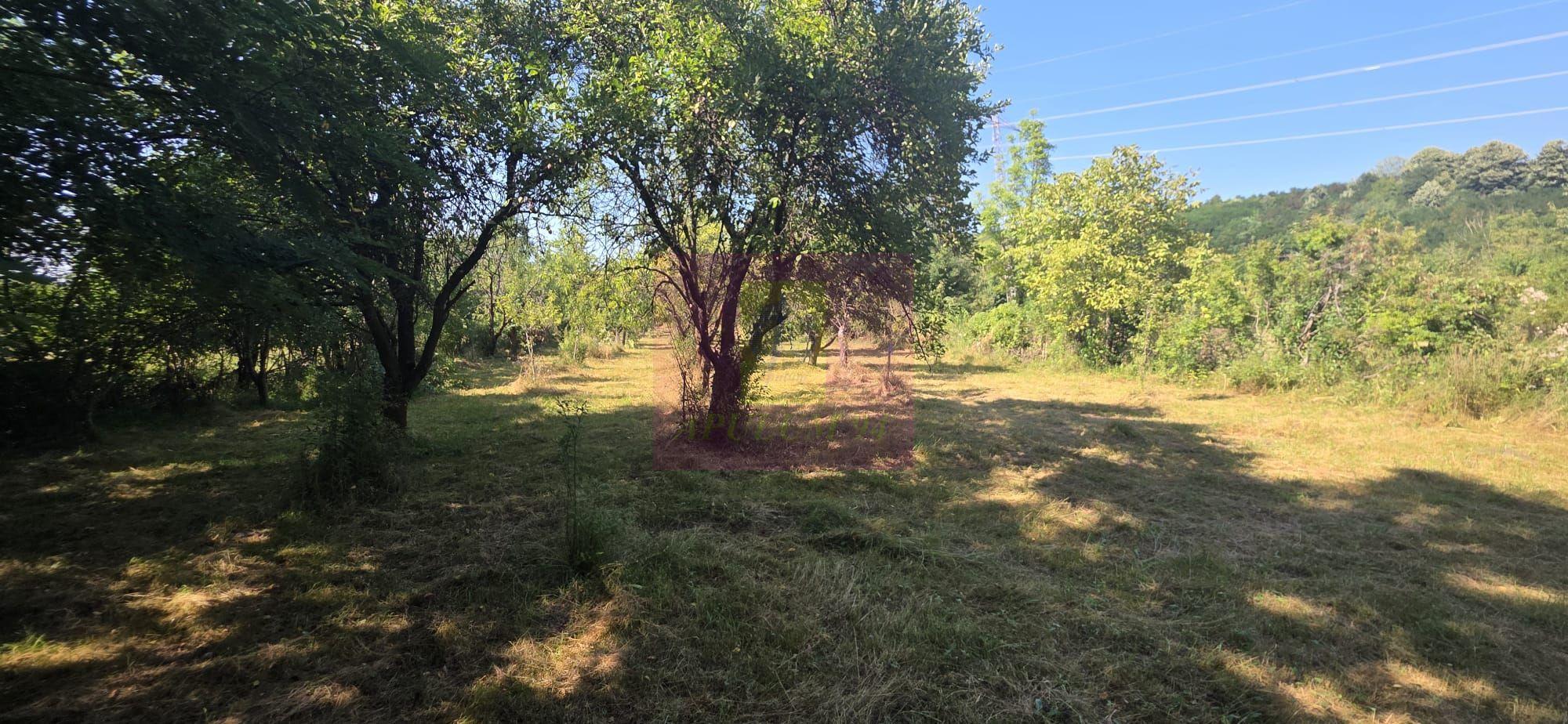 Teren intravilan de vanzare 3375 mp in Brebu - 5