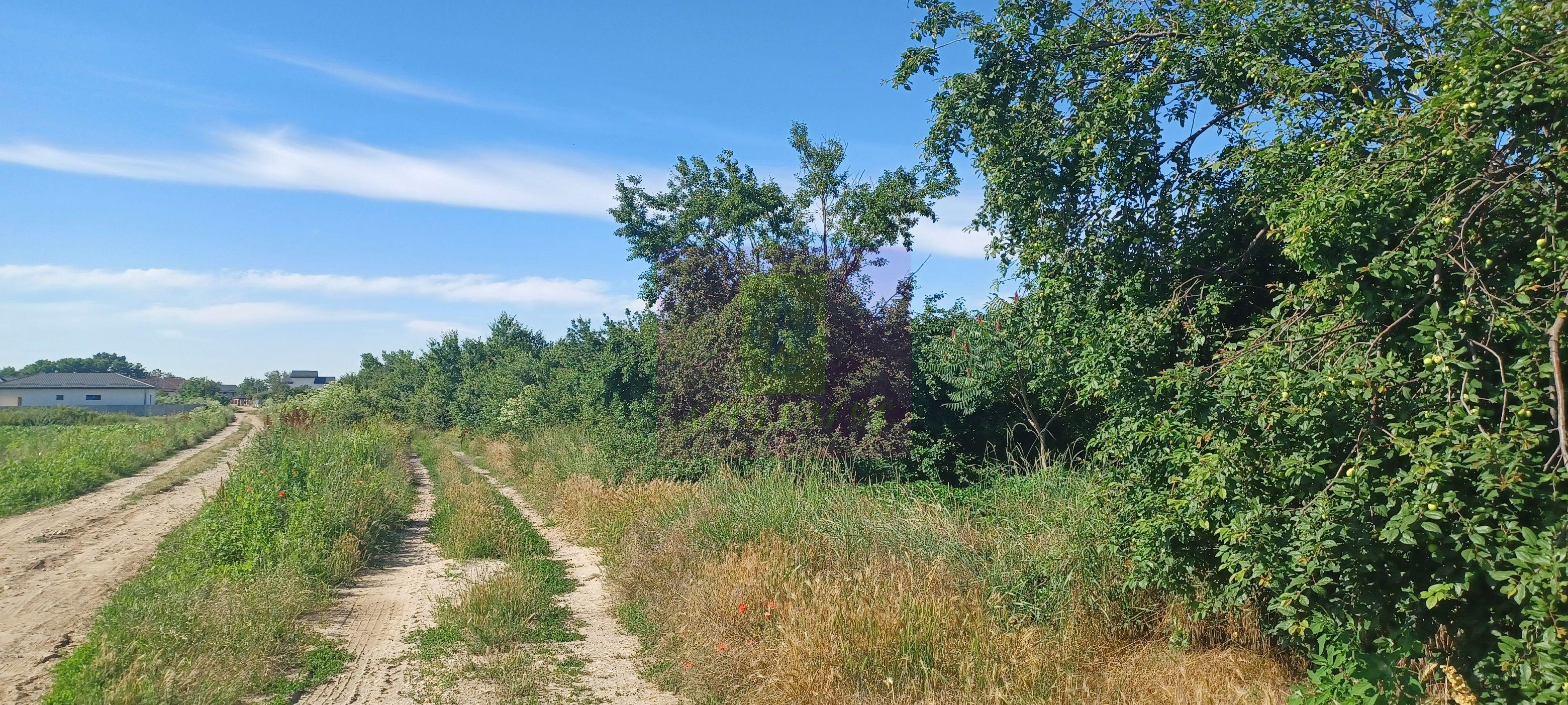 Teren 3500 mp, intravilan, pretabil case, Săbăreni - 3