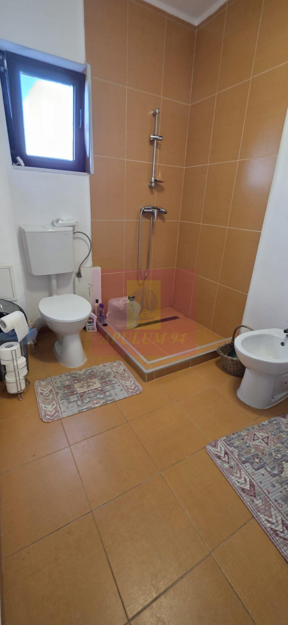 Vila 6 camere de vanzare in Banesti - 25