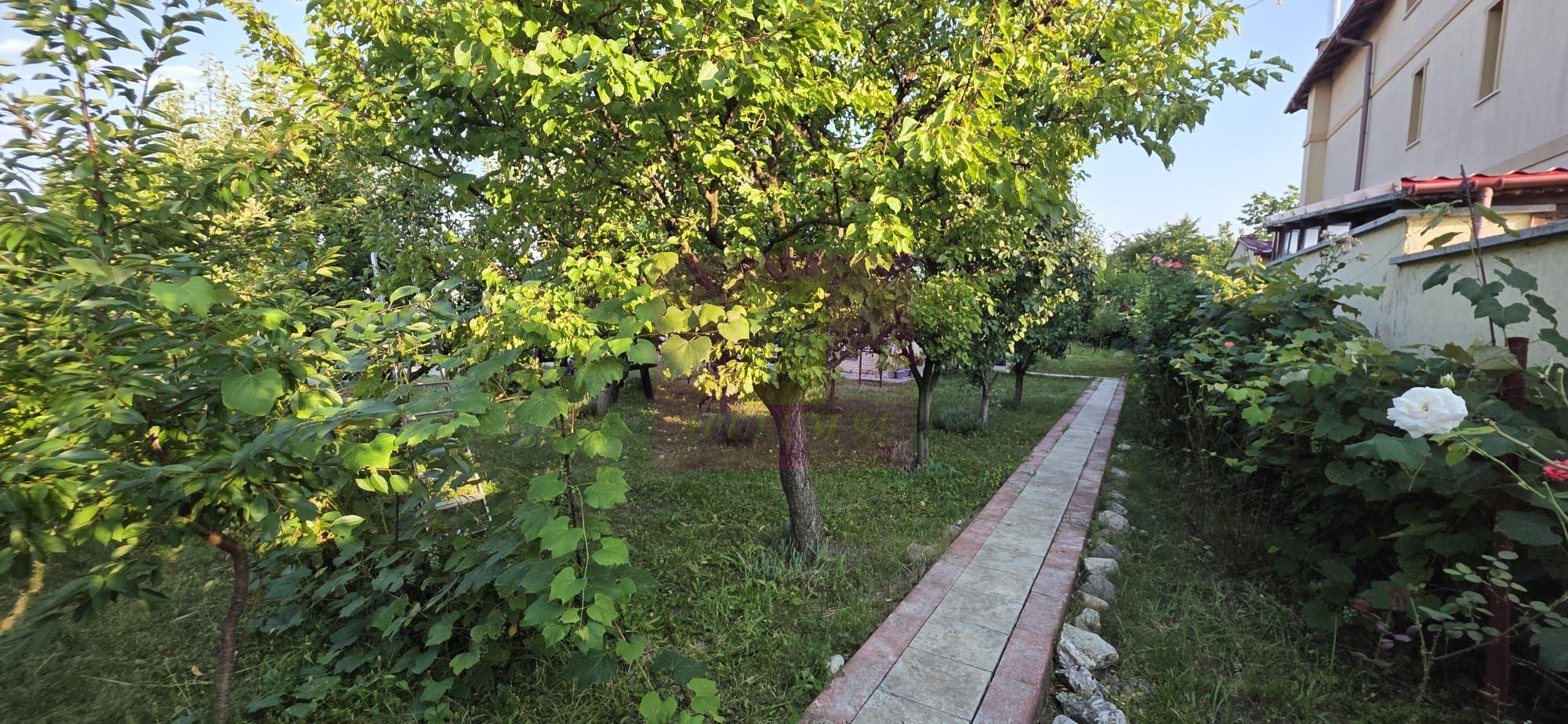 Vila 6 camere de vanzare in Banesti - 37